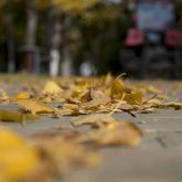 Бүгін ауа райы қандай болады?