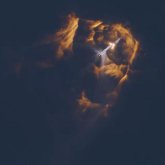 Илон Маск Starship ғарыш кемесін ұшырды