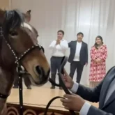 Актер Мадияр Серікбаевқа ауыл азаматтары ат мінгізді (ВИДЕО)