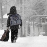 Елордада екінші ауысымдағы бастауыш сынып оқушылары қашықтан оқиды