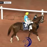 «Бұл - сенсация»: Қазақстандық сәйгүлік бәйгеден әлемдік турнирде жеңіске жетті (ВИДЕО)