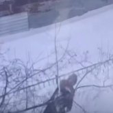 «Мені өлтіруге оқталып жүр»: Желіде күйеуінен қорыққан әйел көмек сұрады