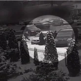 Шымкенттегі қыз алып қашу: Омбудсмен мәлімдеме жасады (ВИДЕО)