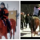 Абай облысында мал іздеуге шыққан 8 жасар бала жоғалып кетті