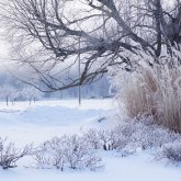 45 градусқа дейін аяз: Синоптиктер қазақстандықтарға ескерту жасады