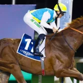 Кабирханның иесі Дубайдағы ат жарыстан бас тартты