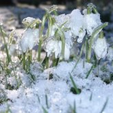 Алдағы үш күнге ауа райы болжамы жарияланды