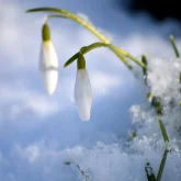 Бүгінгі ауа-райы болжамы
