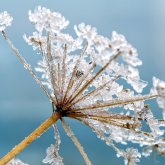 11 наурызға ауа райы болжамы