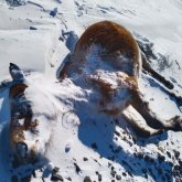 Ұлытау облысында жылқылар аштан қырылып қалған (ВИДЕО)