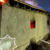 Жамбыл облысында 48 бас мал қырылды