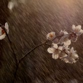 7 сәуірде күн райы қалай құбылады?