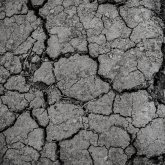 Биыл жазда оңтүстікте қуаңшылық болуы мүмкін