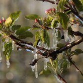 Сенбі күніне арналған ауа райы болжамы