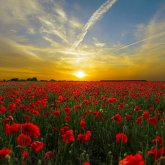 Елімізде мереке күндері күн қатты жылынады