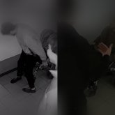 «Неге сонша қатыгез?»: Қарағандыда бір топ ер адам мүгедек баланың арбасын сындырып тастаған