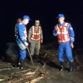 Жамбыл облысында 500-ге жуық қой қырылып қалды