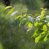 14 өңірде ауа райына байланысты ескерту жасалды