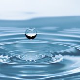 Елімізде жаңа комитет құрылды