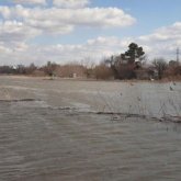 Қордайдағы жаңбыр кезінде 700-ге тарта мал қырылып, жас жігітке қора құлап кеткен