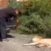 Алматы облысында ер адам итті көліктің артына байлап, сүйреген (ВИДЕО)