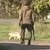 «Білгенін істеп жатыр»: Көшеде ит атқан ветеринария қызметкері астаналықтарды шошытты (ВИДЕО)