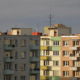 Алматыда биіктен құлап мерт болған оқушылар туралы жаңа дерек шықты