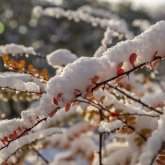 Елімізде күн суытып, қар жауады