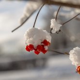 Демалыс күндері елімізде қар жауып, аяз болады