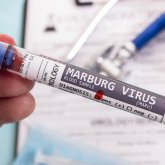 ДДҰ дабыл қақты. Әлемге тағы бір індет төніп келеді