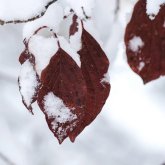 Синоптиктер ауа райына байланысты 14 өңірде ескерту жариялады