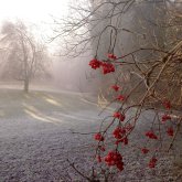 Синоптиктер еліміздің 11 өңірінде дауылды ескерту жариялады
