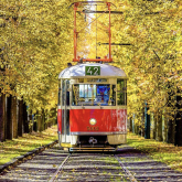 Павлодарда трамвай жол апатына ұшырады