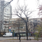 «Қауіпсіздік атымен жоқ»: Алматы тұрғындары дәмхана мен дүкендерден зардап шегіп отыр