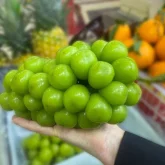 «Шайн мускат» жүзімі қаншалықты зиян? Тексеру нәтижесі шықты