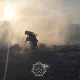 БҚО-да өрт салдарынан бір қора мал тірідей өртеніп кетті