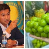 Шайн мускат жүзімін алған надандарға түйенің құмалағын да сатып жіберуге болады – Экс-шенеунік (ВИДЕО)