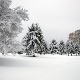 Елімізде демалыс күндері қалың қар жауып, екпінді жел соғады