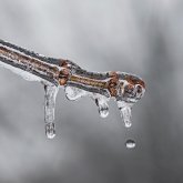 Қазақстанда алдағы күндері 35 градусқа дейін аяз болады