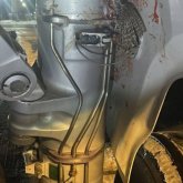 Орал - Астана бағытымен ұшқан ұшақ құстармен соқтығысқан (ФОТО)