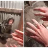 «Әлімжеттік, зорлық-зомбылық бар»: ШҚО-да төрт оқушы аязда сырт киімсіз арнайы мектеп-интернаттан қашып кеткен (ВИДЕО)