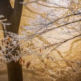 Синоптиктер еліміздің 16 өңірінде ауа райына байланысты ескерту жасады