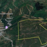 Назарбаевтың Шамалғандағы жері аукционға қойылды