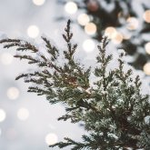 Астана, Алматы және Шымкент: Алдағы үш күнге арналған ауа райы болжамы