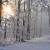 Көктемнің алғашқы күнінде 16 өңірде ауа райына байланысты ескерту жасалды
