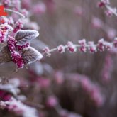 «Қар, көктайғақ, тұман»: 14 өңірге ескерту жасалды