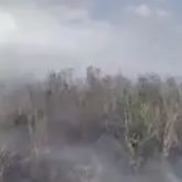 Алматыда әуежай маңынан өрт шықты