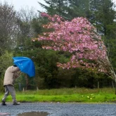 «Қар, бұршақ, жаңбыр»: 13 өңірде ескерту жарияланды