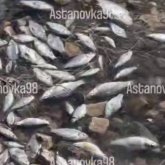 Астанадағы ботаникалық бақта балықтар жаппай қырылып жатыр