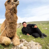 «Бойымда Алланың берген күші бар»: Түркістандық палуан бір өзі түйе көтеріп жүр